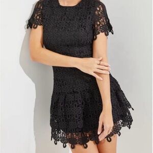 Elegant Black Lace Dress